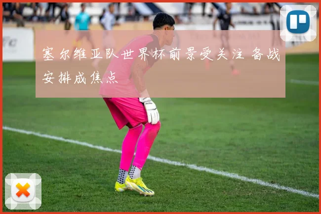 塞尔维亚队世界杯前景受关注 备战安排成焦点