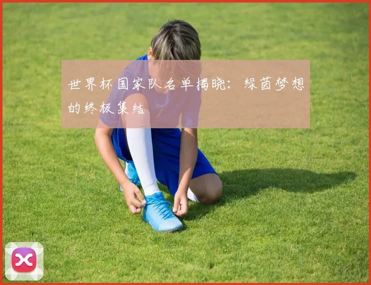世界杯国家队名单揭晓：绿茵梦想的终极集结