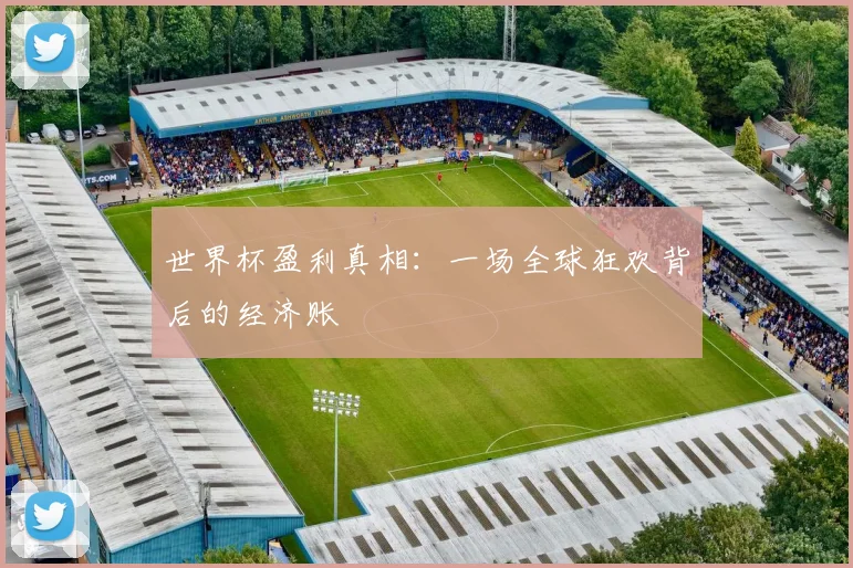 世界杯盈利真相：一场全球狂欢背后的经济账