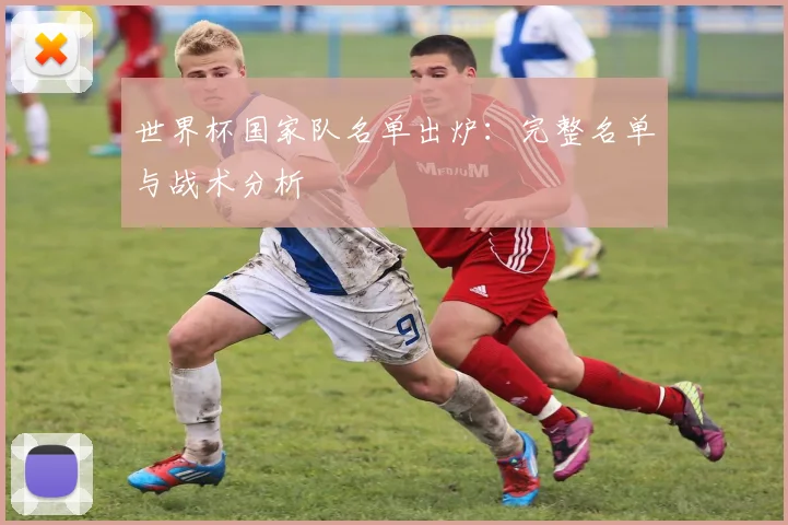 世界杯国家队名单出炉：完整名单与战术分析