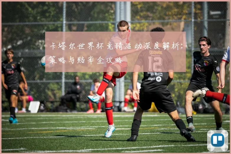 卡塔尔世界杯竞猜活动深度解析：策略与赔率全攻略