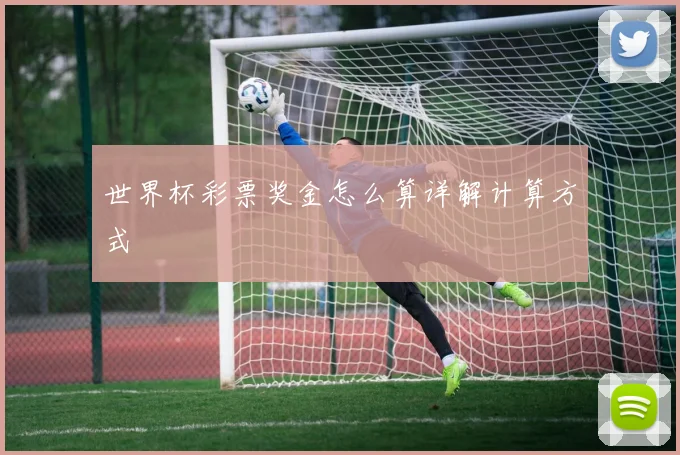 世界杯彩票奖金怎么算详解计算方式