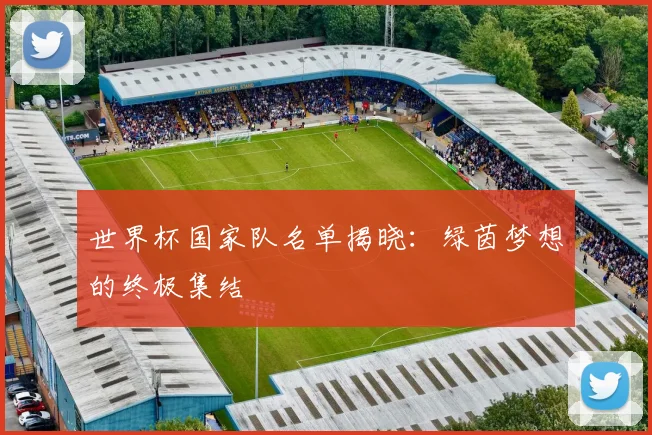 世界杯国家队名单揭晓：绿茵梦想的终极集结
