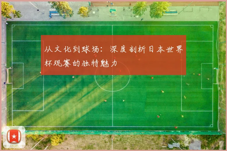 从文化到球场：深度剖析日本世界杯观赛的独特魅力