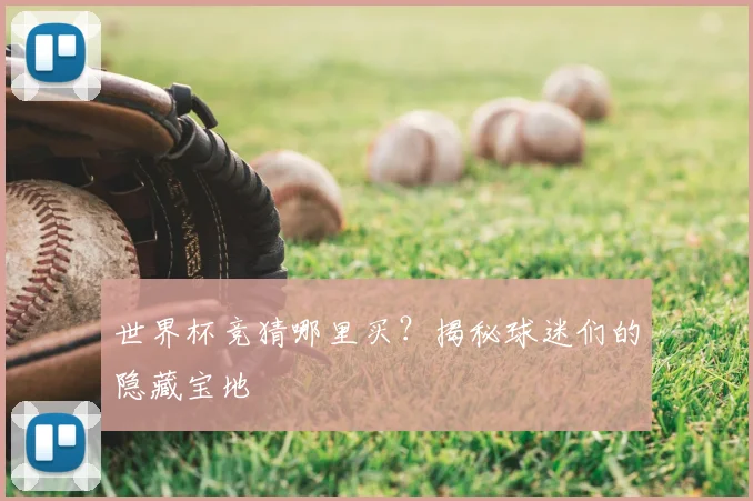 世界杯竞猜哪里买？揭秘球迷们的隐藏宝地