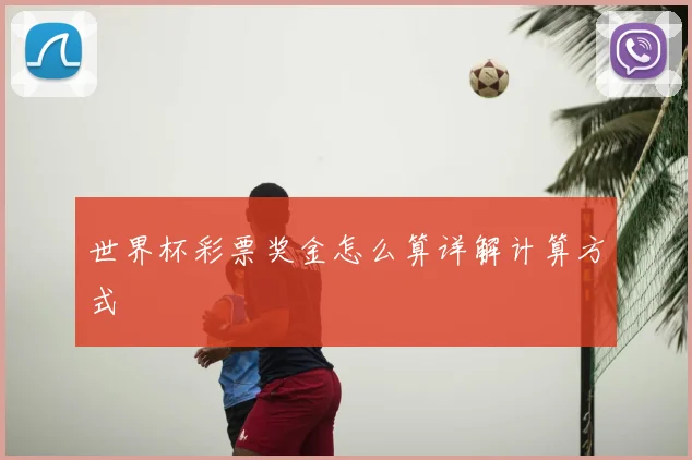 世界杯彩票奖金怎么算详解计算方式