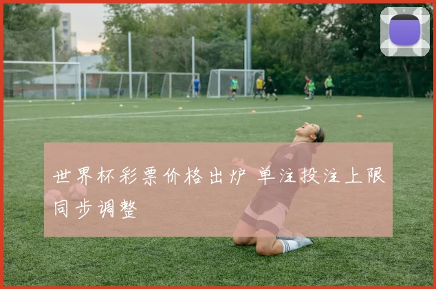 世界杯彩票价格出炉 单注投注上限同步调整