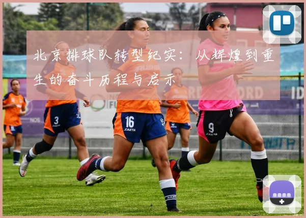 北京排球队转型纪实：从辉煌到重生的奋斗历程与启示